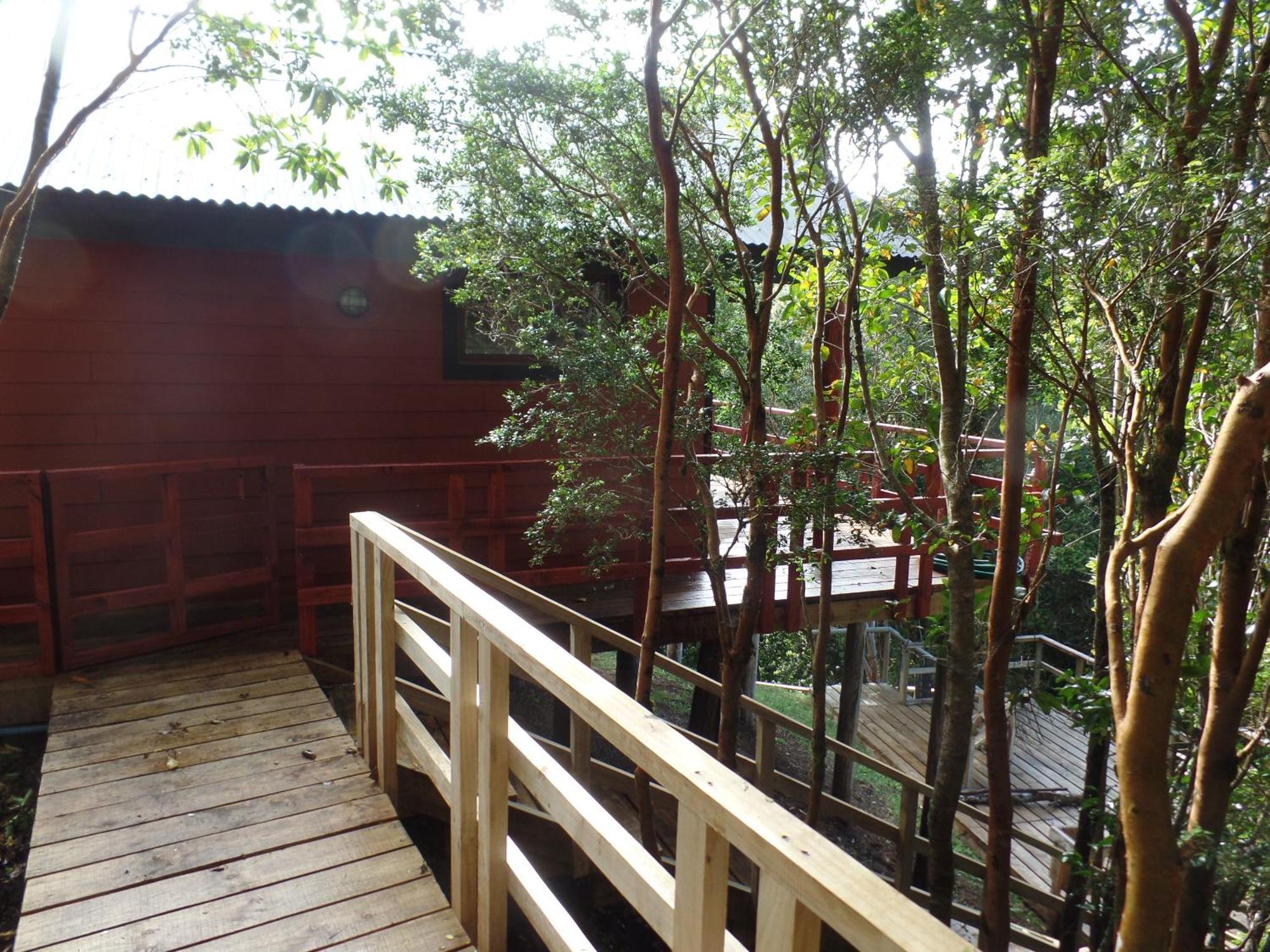 Parque Natural Rio Bravo Lodge كاسترو المظهر الخارجي الصورة