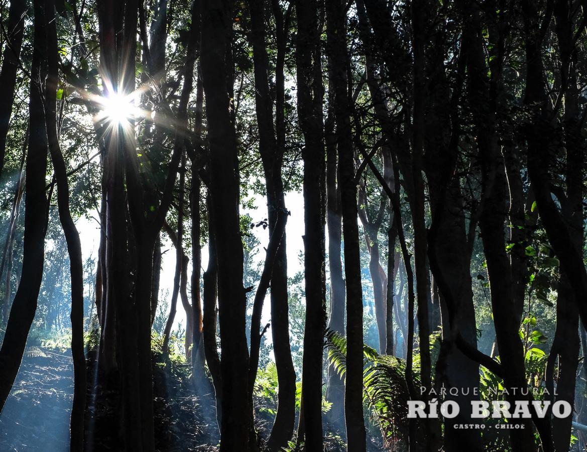 Parque Natural Rio Bravo Lodge كاسترو المظهر الخارجي الصورة