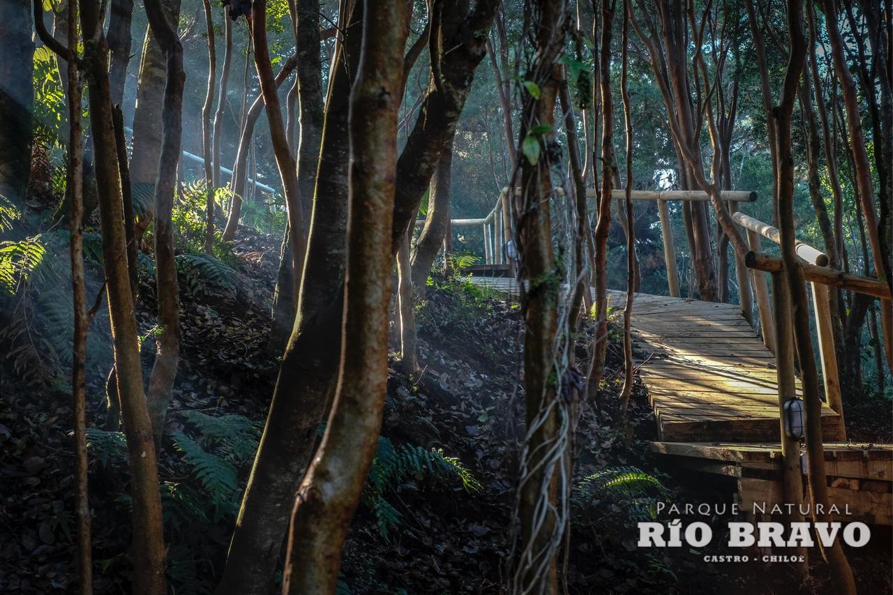 Parque Natural Rio Bravo Lodge كاسترو المظهر الخارجي الصورة