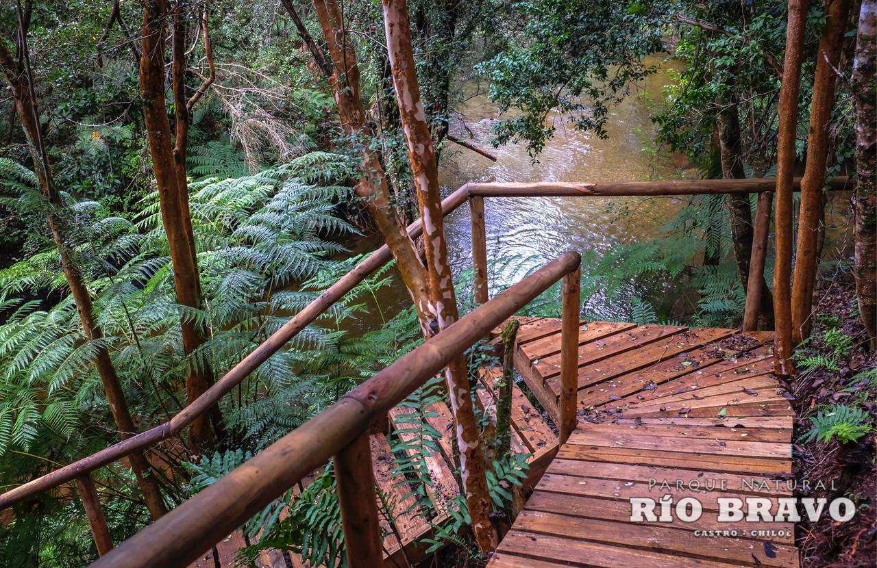 Parque Natural Rio Bravo Lodge كاسترو المظهر الخارجي الصورة