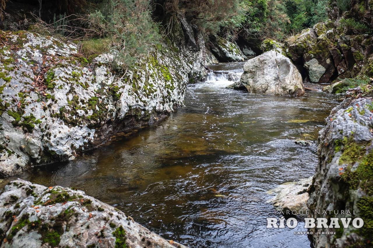 Parque Natural Rio Bravo Lodge كاسترو المظهر الخارجي الصورة